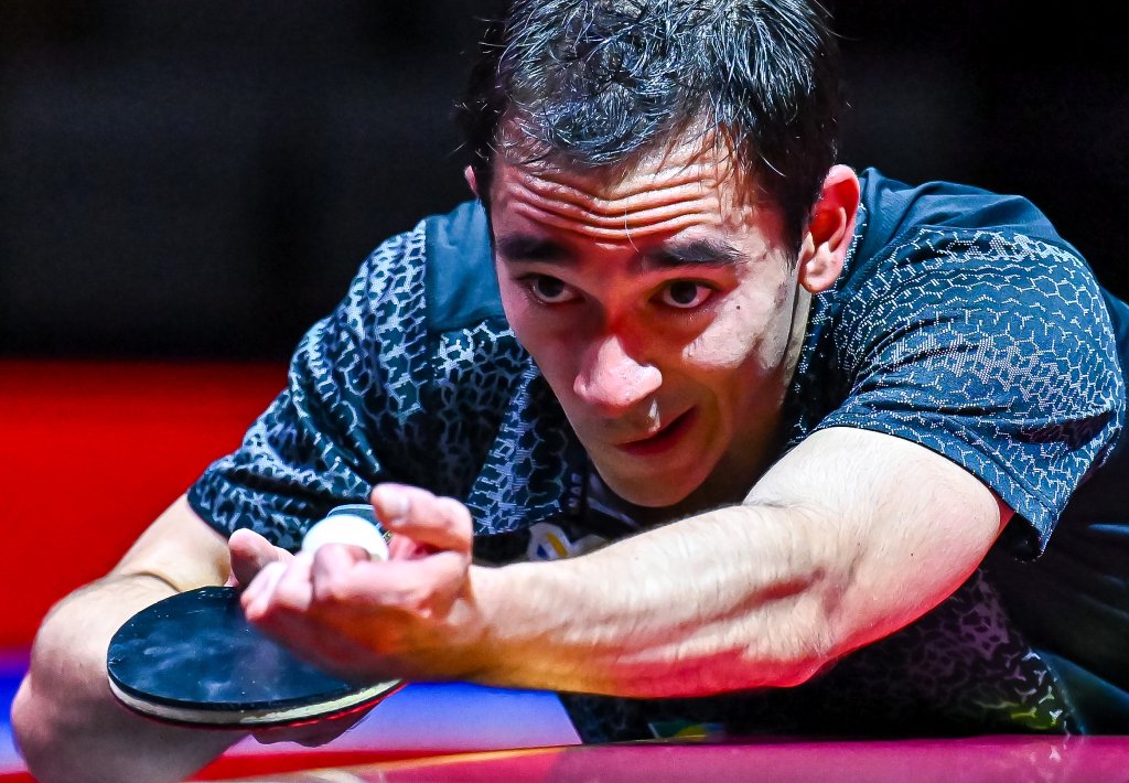 球员活力和 球员活力和