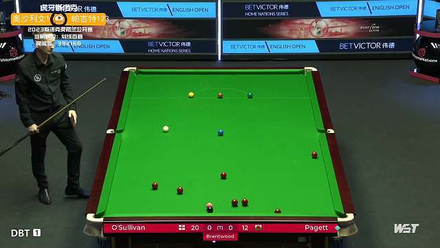 在国际舞台 在国际舞台