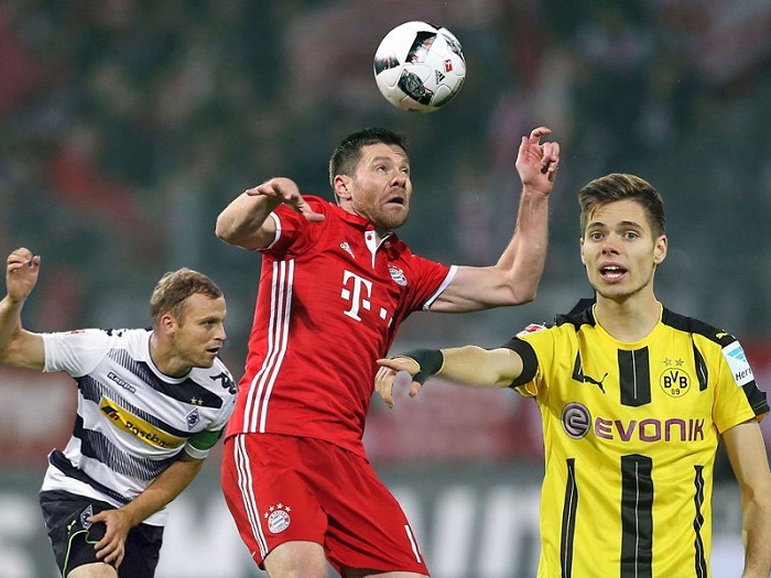 家队的深情 家队的深情