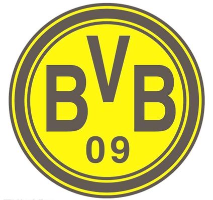 国国家队的 国国家队的