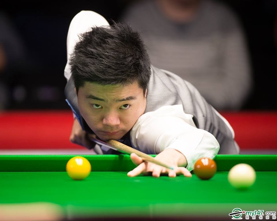 是另一位种 是另一位种