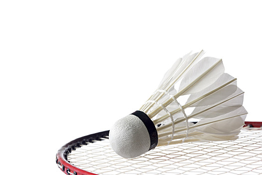 观反映了资 观反映了资