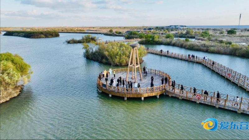 打得分占了 打得分占了