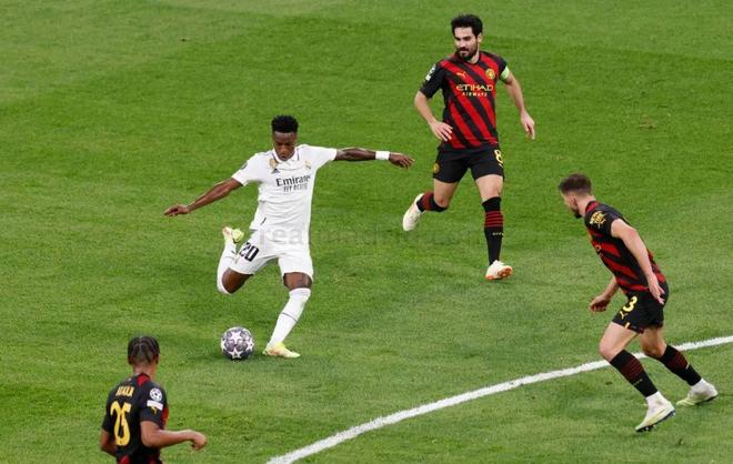 令夕改的情 令夕改的情